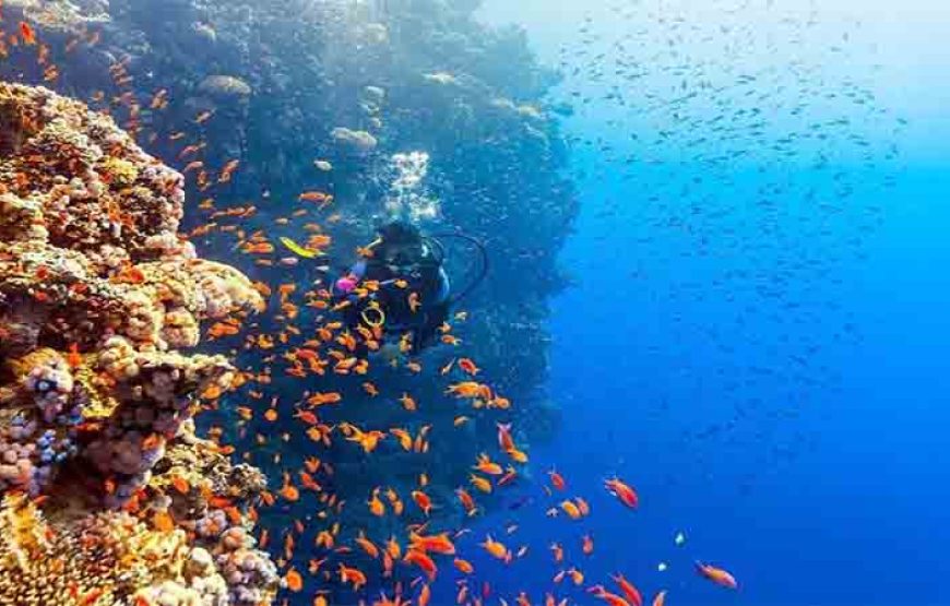 Hurghada: Orange Bay Island and Snorkeling Cruise with Lunch