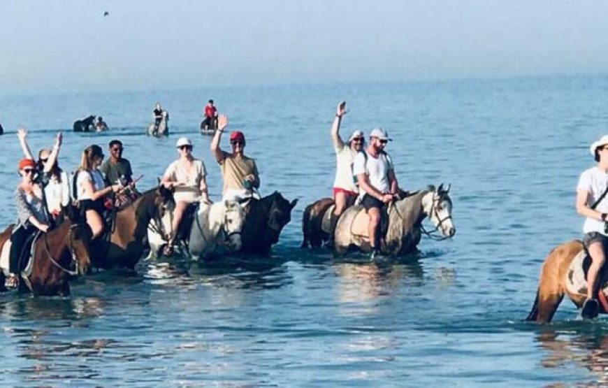 Hurghada: Two hours Horse riding on the desert and the sea with transfer