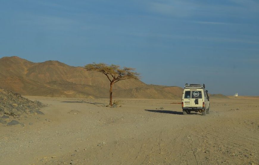 Hurghada: Super Safari Tour Jeep, Quad Bike, Bedouin Village And BBQ Dinner With Show