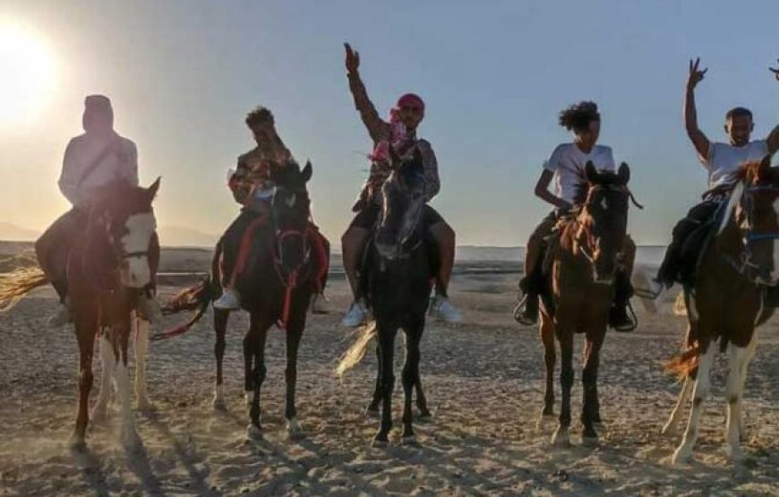 Hurghada: Two hours Horse riding on the desert and the sea with transfer