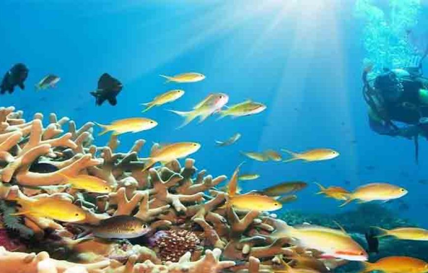 Hurghada: Orange Bay Island and Snorkeling Cruise with Lunch