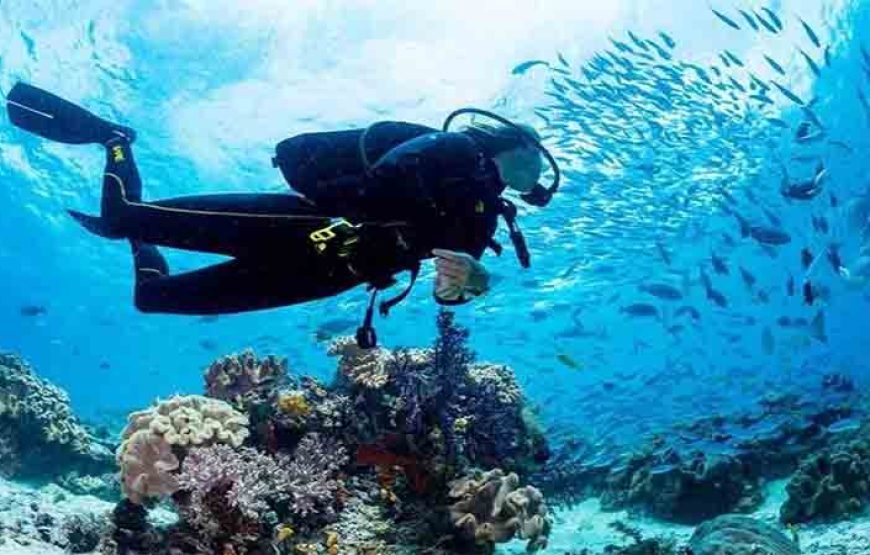 2 Scuba Diving for Beginners Day-Trip with Lunch in Marsa Alam