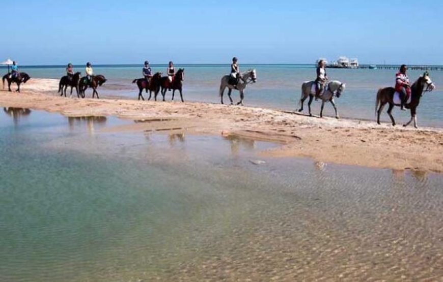 Hurghada: Two hours Horse riding on the desert and the sea with transfer