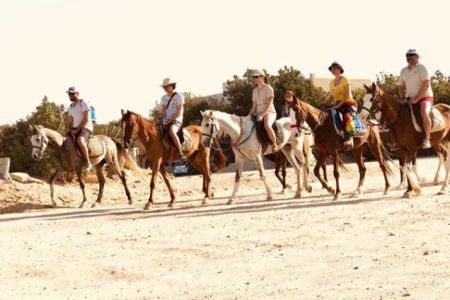 Sharm El Sheikh: One Hour Horse Riding or Camel Riding At Amazing Desert