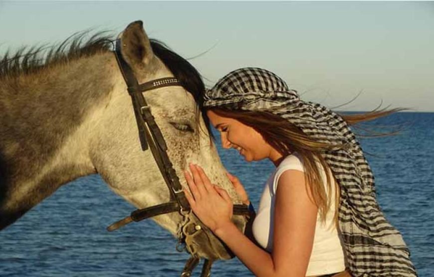 Hurghada: 3 Hours Horse Riding with Swimming