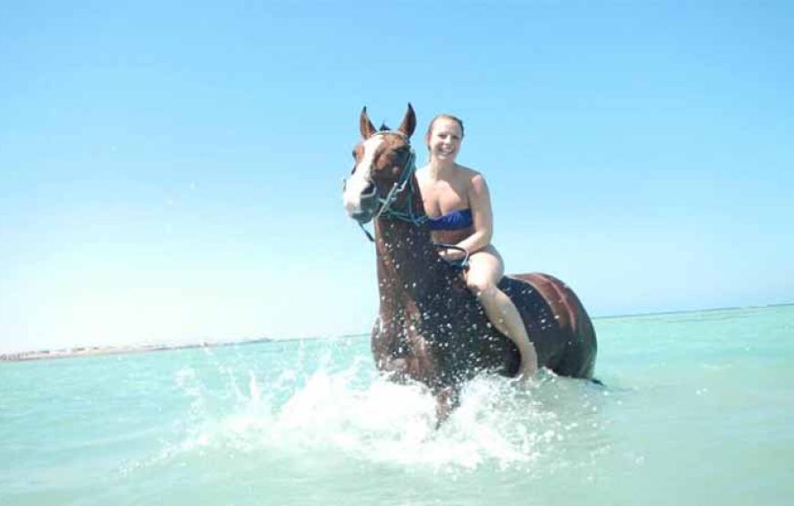 Hurghada: Two hours Horse riding on the desert and the sea with transfer