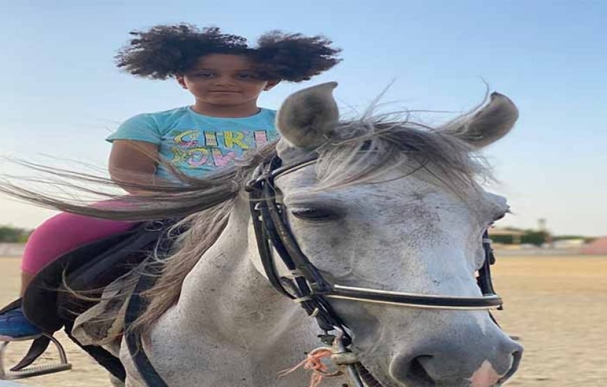Hurghada: 3 Hours Horse Riding with Swimming