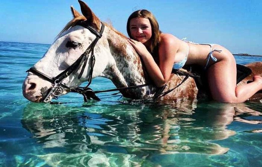 Hurghada: Two hours Horse riding on the desert and the sea with transfer