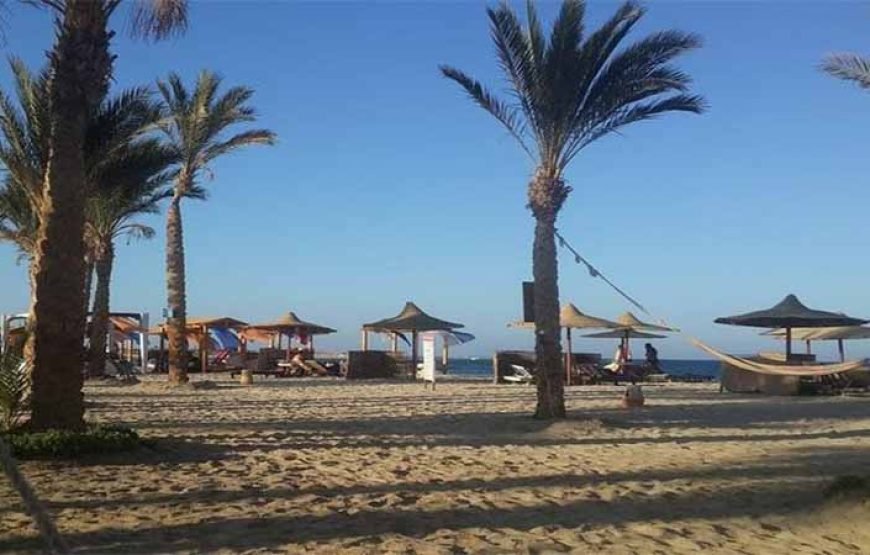 Abu Dabab Beach Day Tour from Marsa Alam