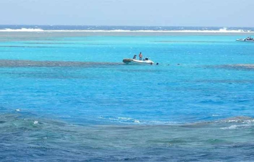 Abu Dabab Beach Day Tour from Marsa Alam