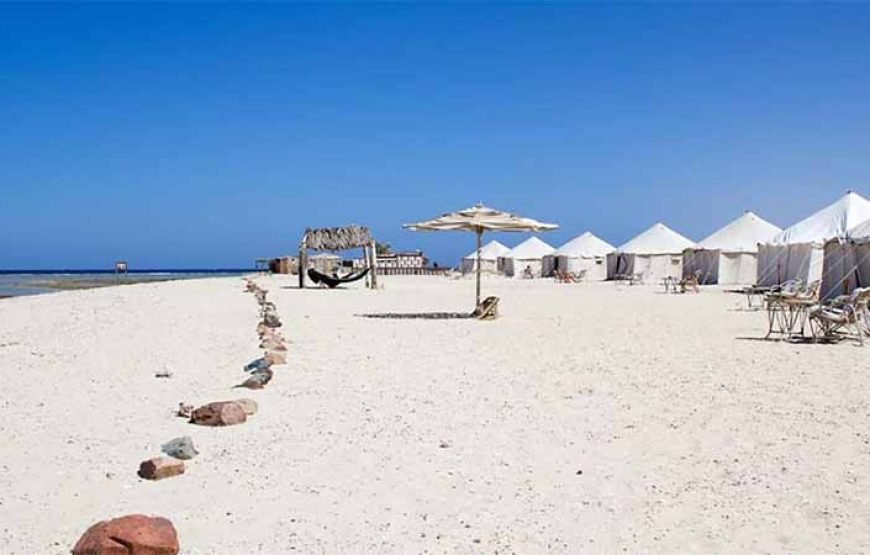 Abu Dabab Beach Day Tour from Marsa Alam
