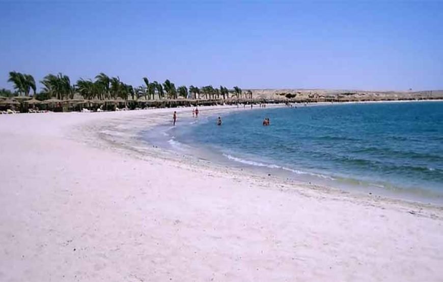 Abu Dabab Beach Day Tour from Marsa Alam