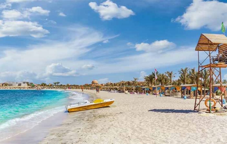 Abu Dabab Beach Day Tour from Marsa Alam