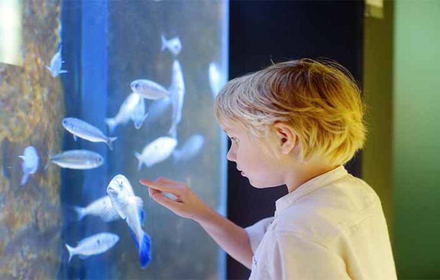 Hurghada: journey at the Hurghada Grand Aquarium & Zoo Tickets with Hotel Transfers