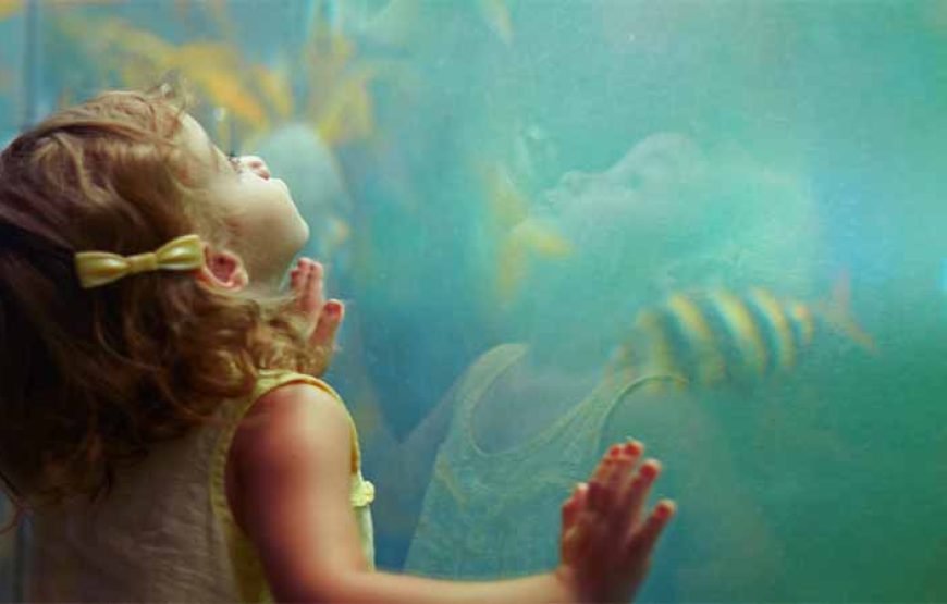 Hurghada: journey at the Hurghada Grand Aquarium & Zoo Tickets with Hotel Transfers