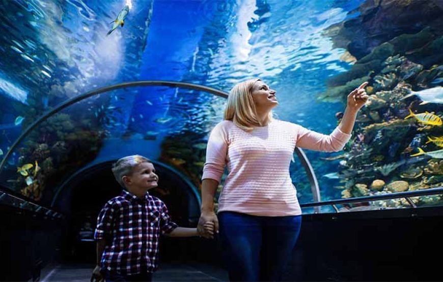 Hurghada: journey at the Hurghada Grand Aquarium & Zoo Tickets with Hotel Transfers