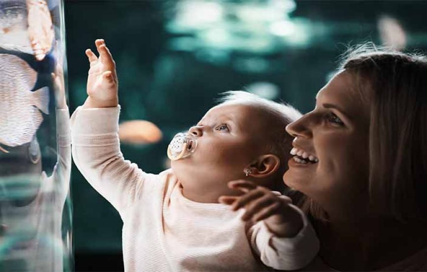 Hurghada: journey at the Hurghada Grand Aquarium & Zoo Tickets with Hotel Transfers