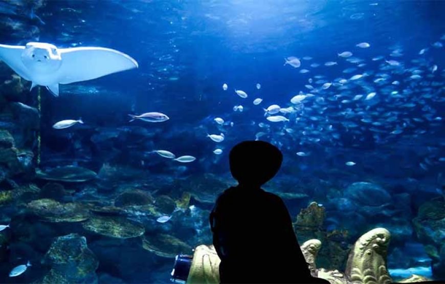 Hurghada: journey at the Hurghada Grand Aquarium & Zoo Tickets with Hotel Transfers