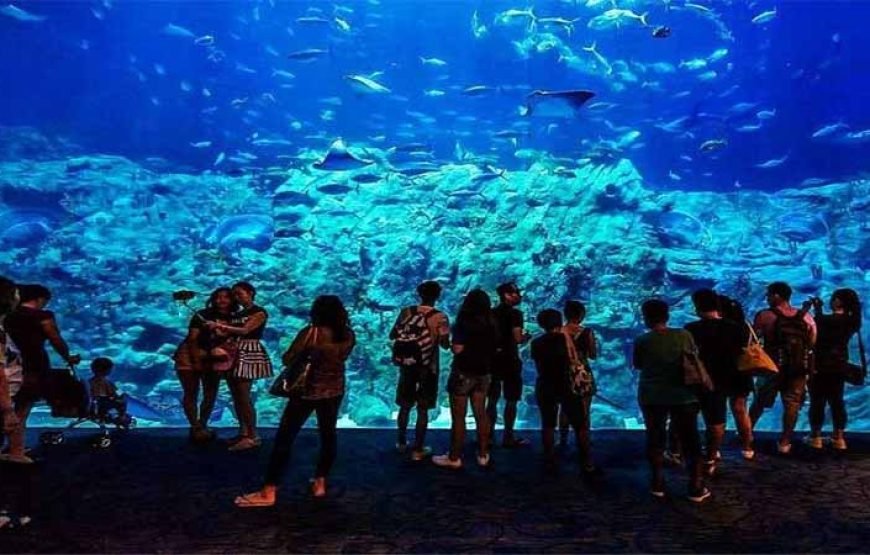 Hurghada: journey at the Hurghada Grand Aquarium & Zoo Tickets with Hotel Transfers