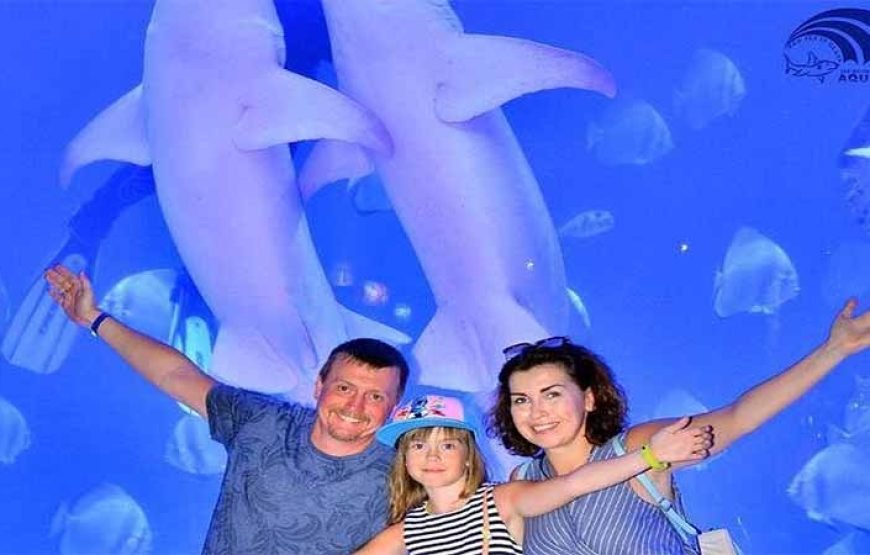 Hurghada: journey at the Hurghada Grand Aquarium & Zoo Tickets with Hotel Transfers