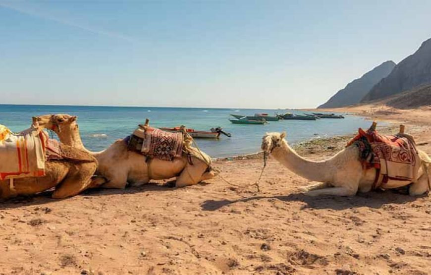 Sharm El-Sheikh: Jeep Adventure to Blue Hole, Canyon & Dahab