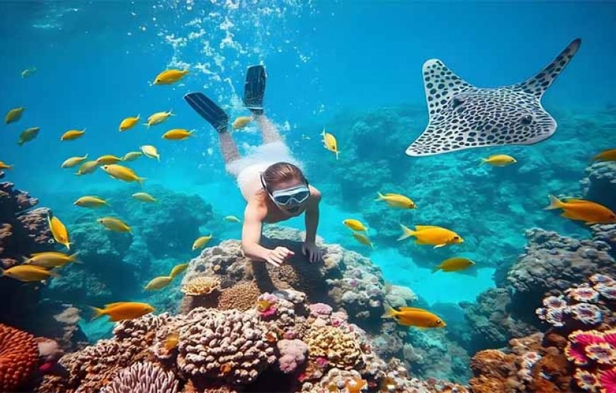 Sharm El-Sheikh: Jeep Adventure to Blue Hole, Canyon & Dahab