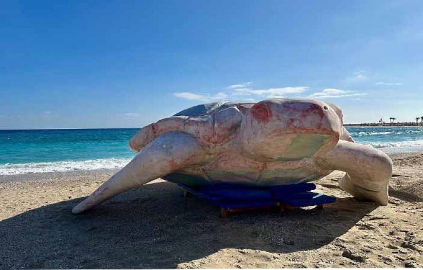 Abu Dabab Beach Day Tour from Marsa Alam