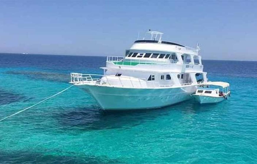 Sha’ab Samadai Reef – Dolphin House Snorkeling Tour at Marsa Alam