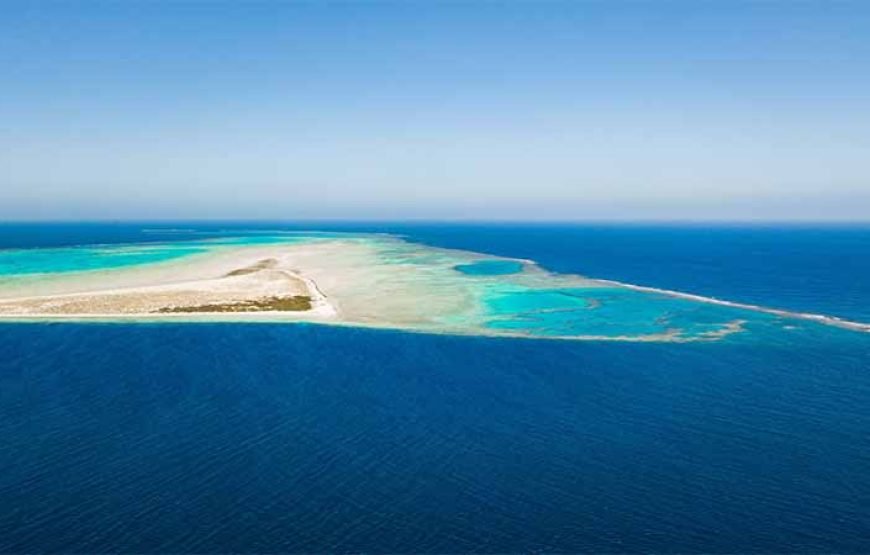 Sha’ab Samadai Reef – Dolphin House Snorkeling Tour at Marsa Alam