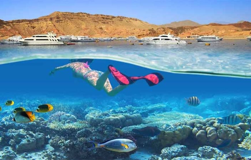 Moto Marine Marsa Alam – Quad Biking, Camel Ride & Snorkeling with Turtles at Abo Dabbab