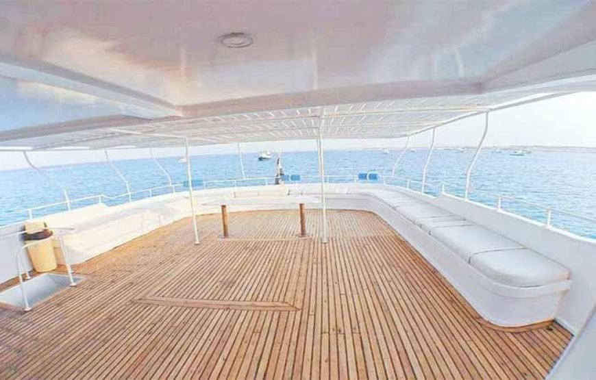 Marsa Mubarak Boat Trip with Dugongs and Turtles in Marsa Alam