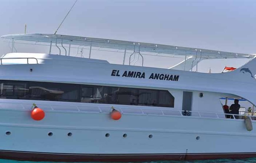 Sha’ab Samadai Reef – Dolphin House Snorkeling Tour at Marsa Alam