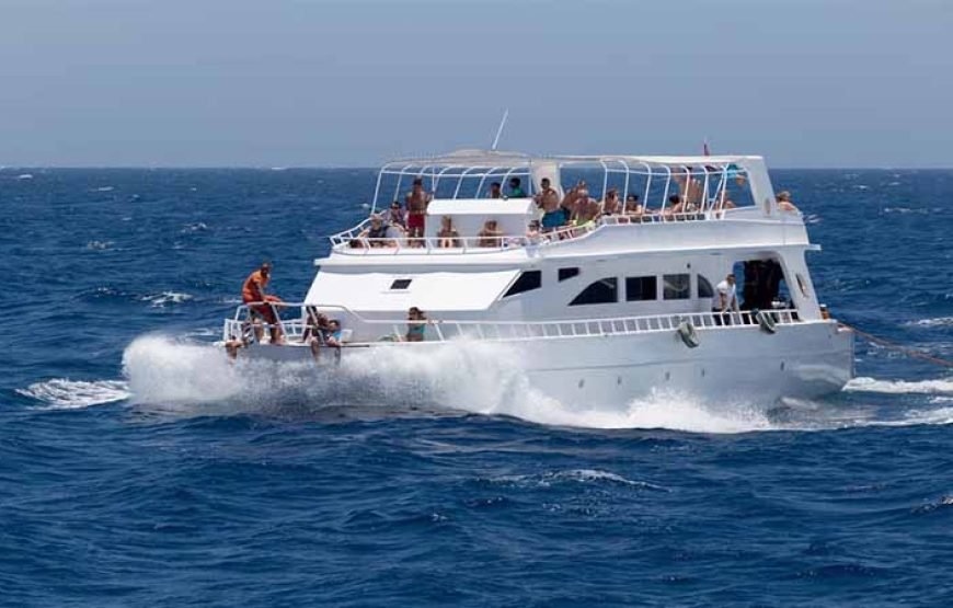 Marsa Mubarak Boat Trip with Dugongs and Turtles in Marsa Alam