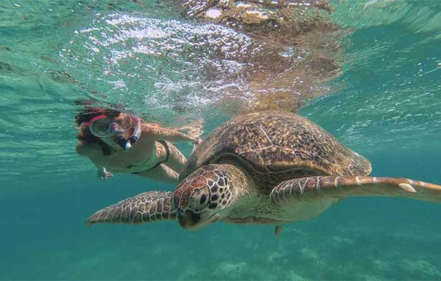 Sharm El Luli Beach Day Tour from Marsa Alam