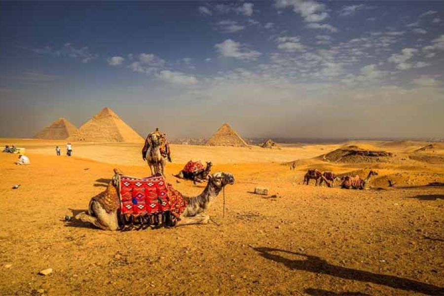 Day Trip from Hurghada to Cairo by Van (Small Group)