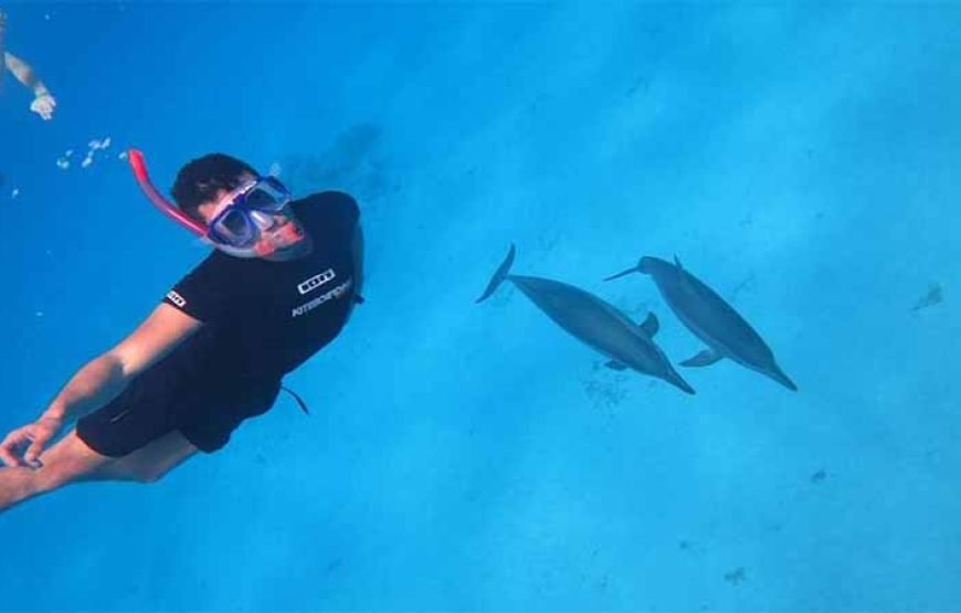 Sha’ab Samadai Reef – Dolphin House Snorkeling Tour at Marsa Alam