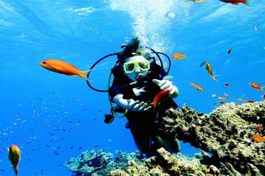 Professional Scuba Diving Boat Trip With Lunch and Transfer – Hurghada