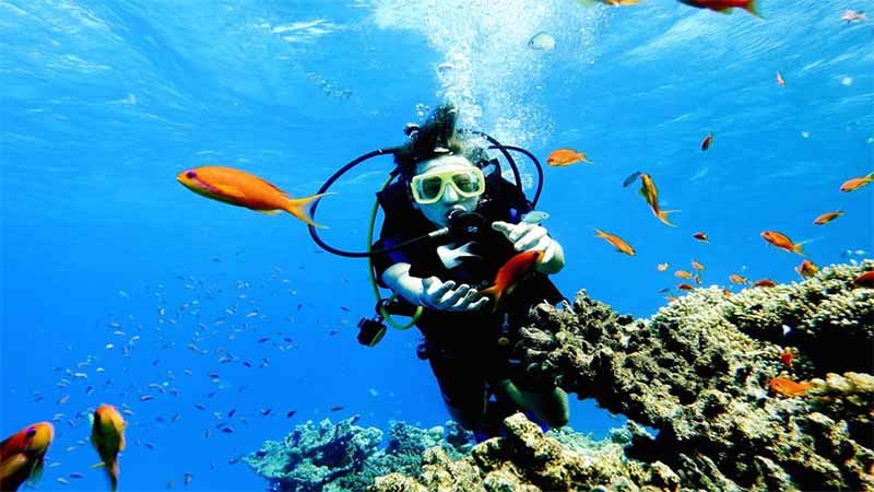 Hurghada Diving Trip – Explore the Red Sea Coral Reefs & Marine Life