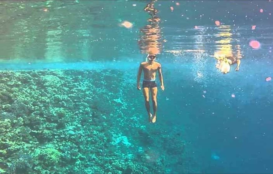 Sharm El Luli Beach Day Tour from Marsa Alam