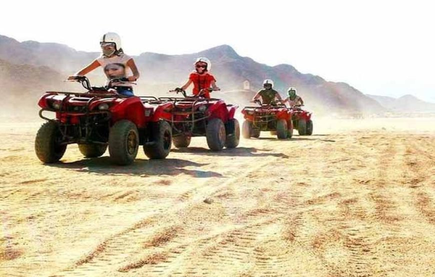 Marsa Alam: Morning or Sunset Quad Bike Desert Safari with Transfers